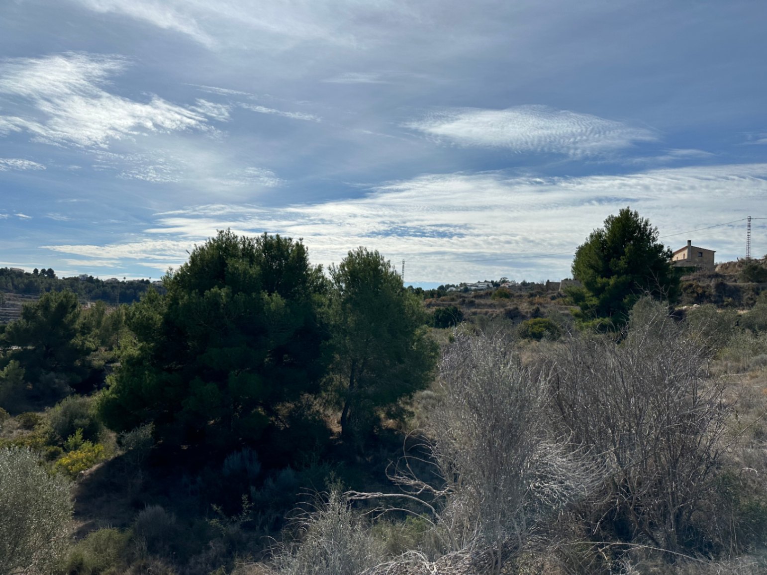 Big rustic land for sale in Teulada