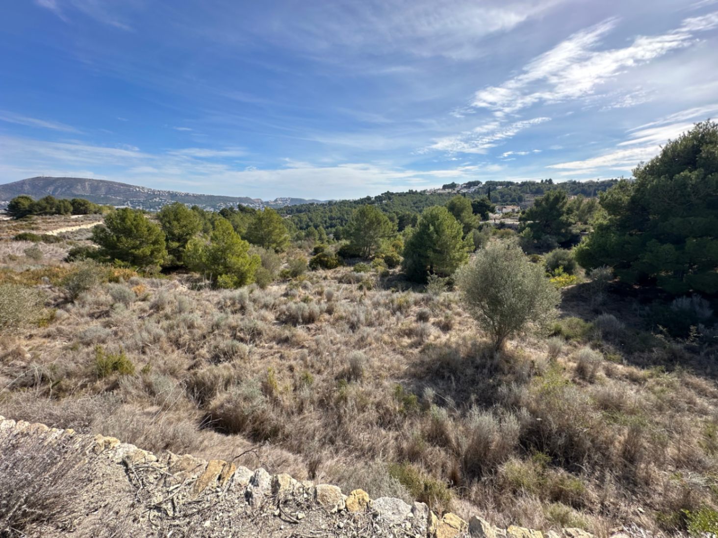 Big rustic land for sale in Teulada